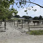 Urlaub Auf Der Aspen Ranch Apartman