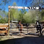Urlaub Auf Der Aspen Ranch