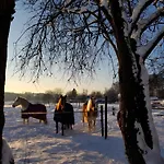 Urlaub Auf Der Aspen Ranch *