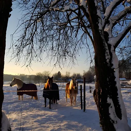 شقة Urlaub Auf Der Aspen Ranch سالم