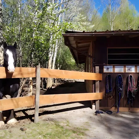 Apartament Urlaub Auf Der Aspen Ranch *
