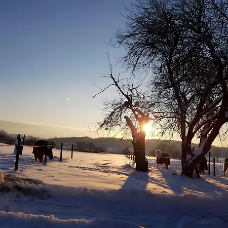 Urlaub Auf Der Aspen Ranch Apartament *