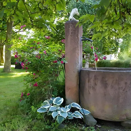 Urlaub Auf Der Aspen Ranch Apartament Salem (Baden-Wurttemberg)