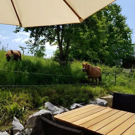 Urlaub Auf Der Aspen Ranch Apartament *